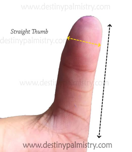 straight thumb meaning palmistry