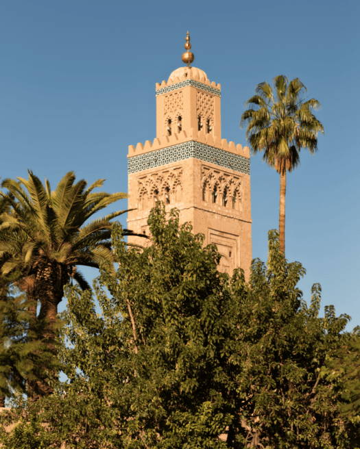 Marrakesch Blog, Koutoubia Moschee, Sebastian Hilpert Animalperson