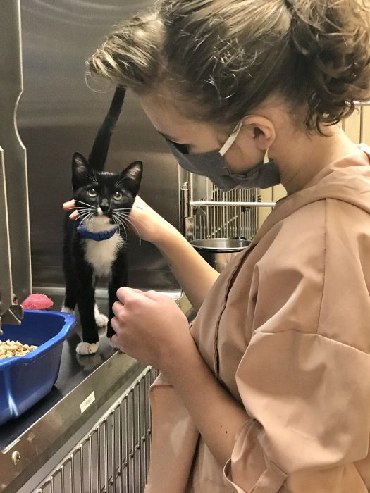 Sonia with a tuxedo kitten