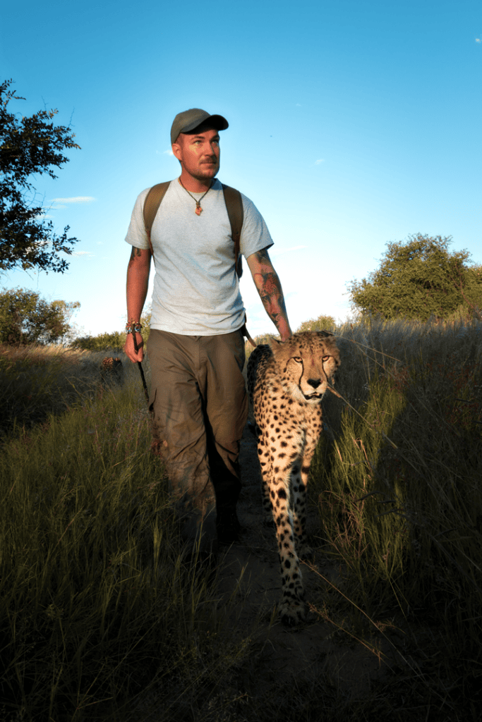 Sebastian Hilpert mit Geparden in Namibia - Würzburger Stadtmagazin LIEBE NACHBARN