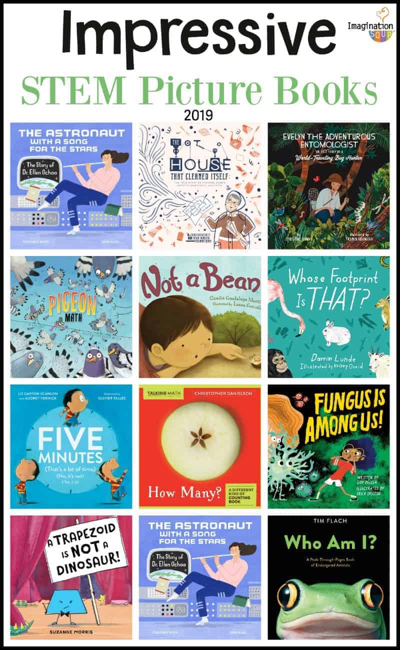 New STEM Picture Books 2019