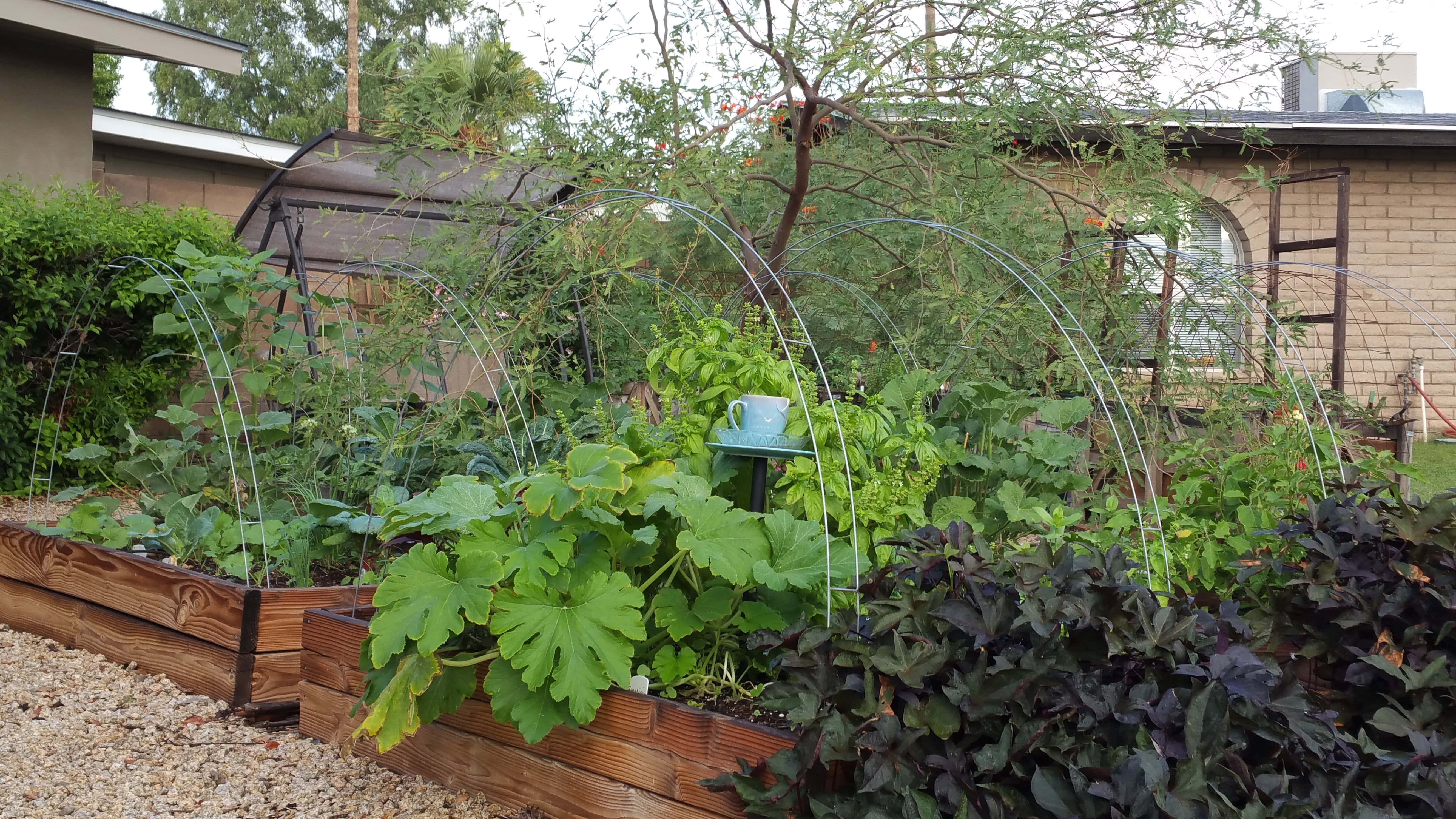 Garden shade and frost protection.