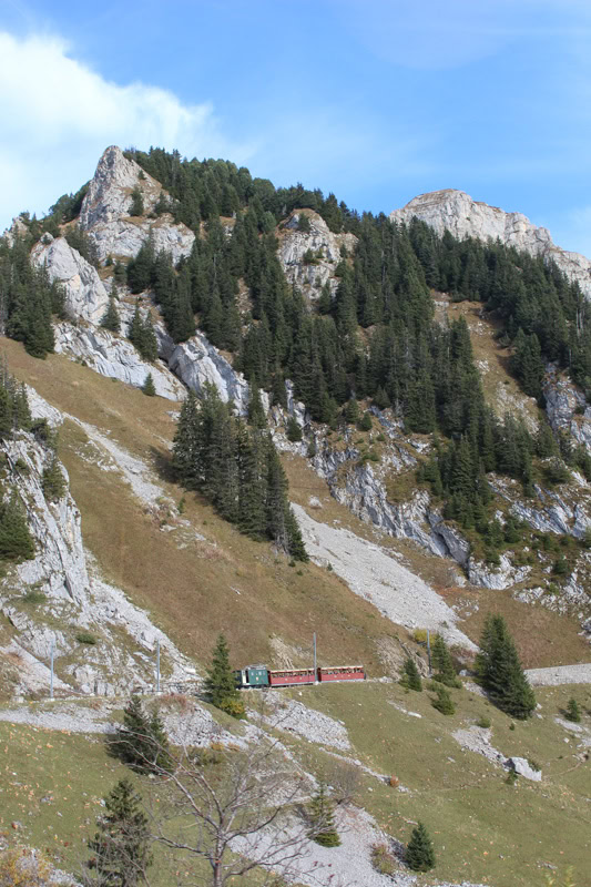 Schynige Platte