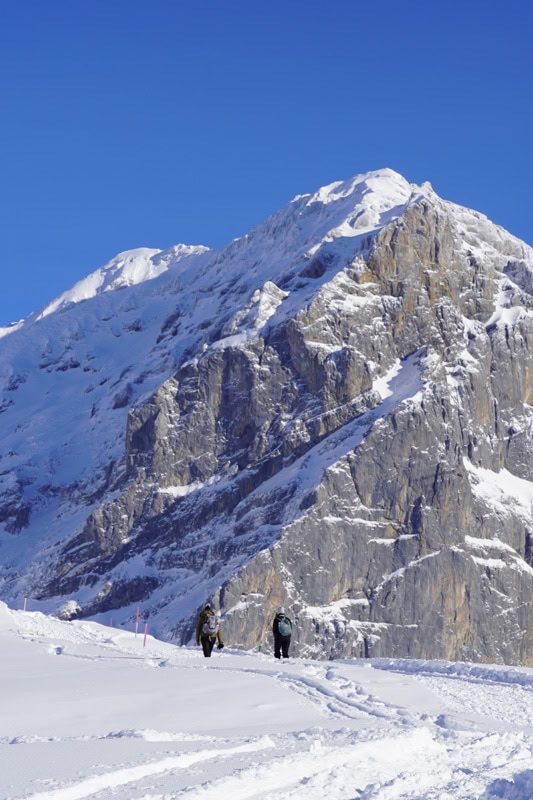 Winterwandern auf dem Fuerenalp