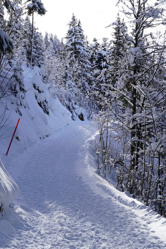Winterwanderweg Engelstock - Sattel