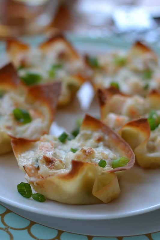 Triple Cheese Shrimp Dip Wontons | Small Town Woman