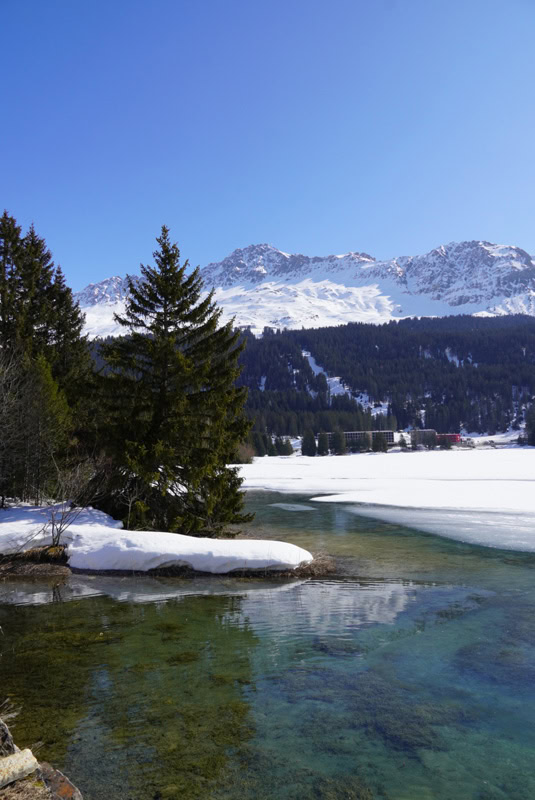 Foxtrail Arosa-Lenzerheide