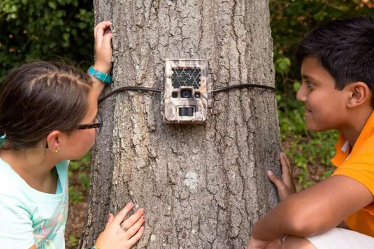 There are lots of ways to get aspiring scientists into real science right now. I work on the eMammal camera trap program to involve kids in real camera trap research.