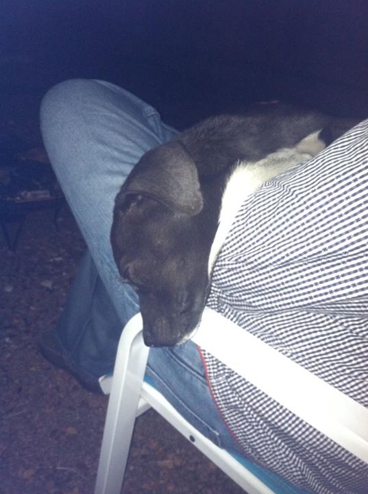 This is when Tim decided to let me keep Pascale