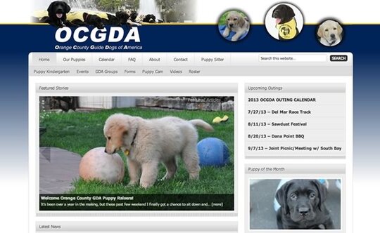 OCGDA Website