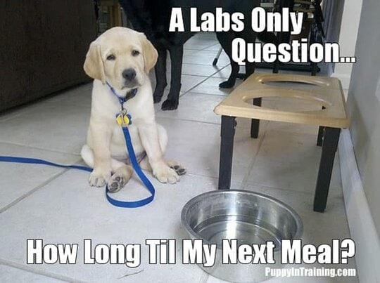 A Labs Only Question