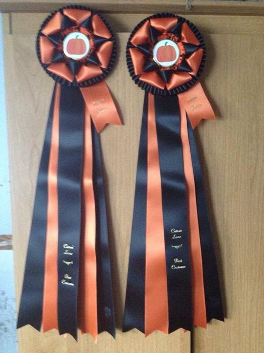Photo courtesy of A Filly's Best Friend