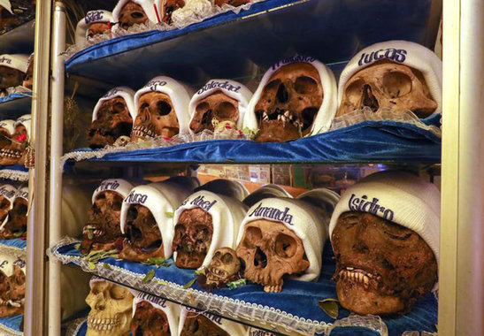 calaveras-humanas-craneos