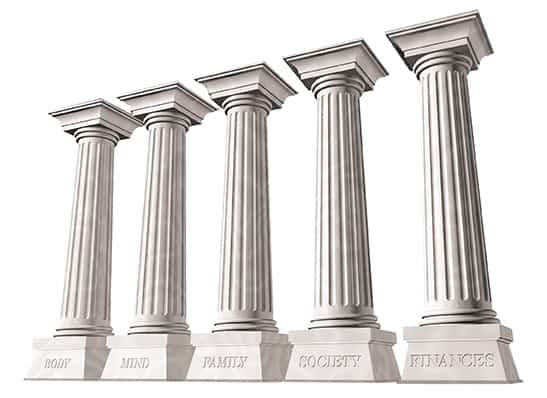 5-pillars of health picture showing Nikken products a part of the healthy body, part of the 5 pillars of health for life balance