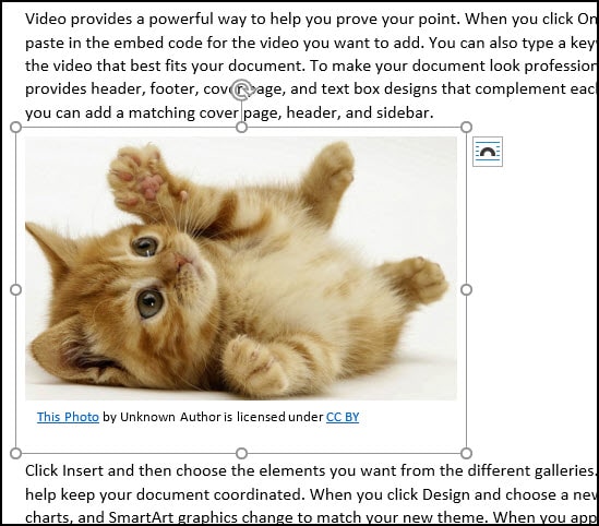 Left-aligned smaller kitten image with sizing handles.