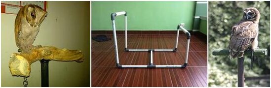 JENIS TENGGERAN / PEARCH YANG BISA DIGUNAKAN