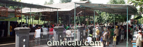 Lomba Burung di Dusun Miri Sragan