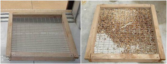 Tempat untuk pembuangan sisa dan sampah dari makanan yang sudah dimakan oleh burung