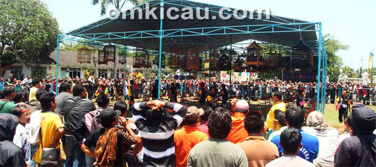 Bupati Cup Pacitan