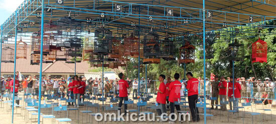 Suasana lomba kelas kenari