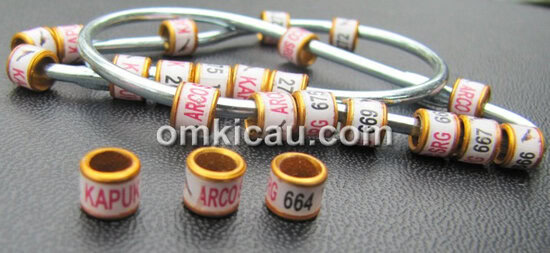 Arco-Kapuk BF Serang