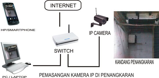 PEMASANGAN KAMERA IP DI KANDANG PENANGKARAN