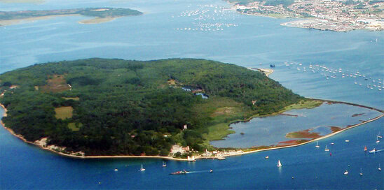 Cagar Alam Brownse Island