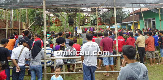 Lomba Burung Jaga Praya Cilacap