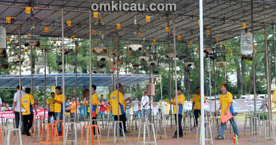 Suasana lomba kelas lovebird