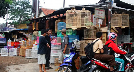 Pasar Burung Pramuka