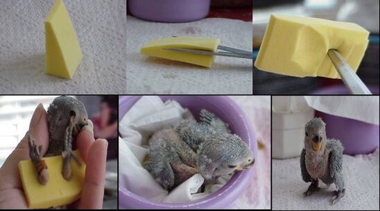 MERAWAT KAKI DENGAN MENGGUNAKAN SPONS MAKEUP