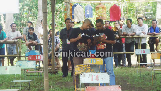Lomba Burung SapuRegel