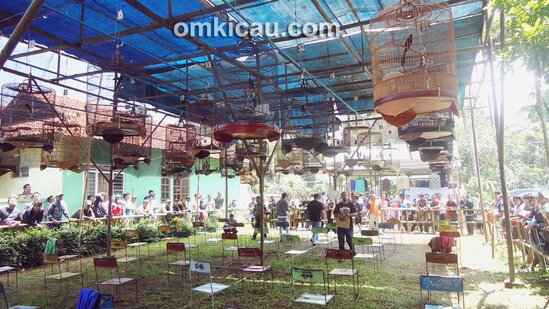 Wijaya Kusuma Berkicau