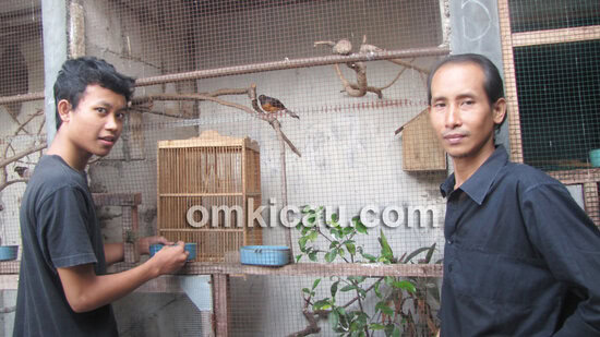 Sufi Bird Farm Jakarta