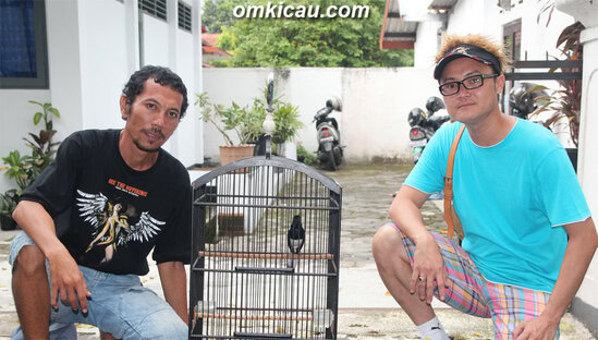 Kacer Satria Dewa