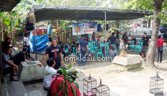 Kelas Pleco