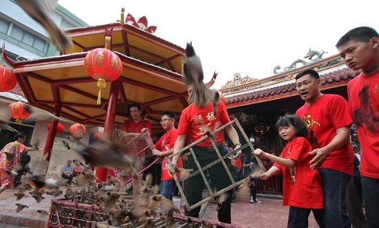 Lepas burung emprit setiap Imlek (foto:Antara)