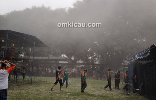 lomba Valentine Day