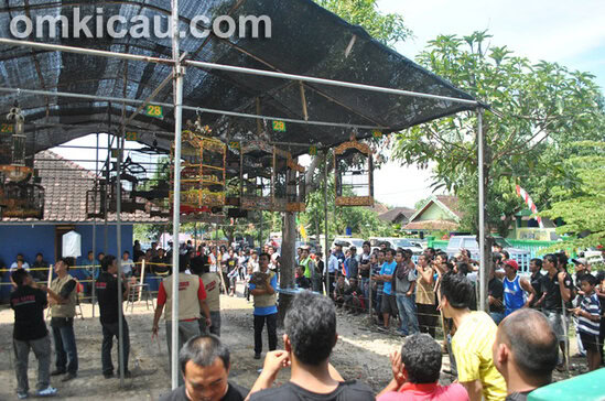 Lomba Burung GMC Wonogiri