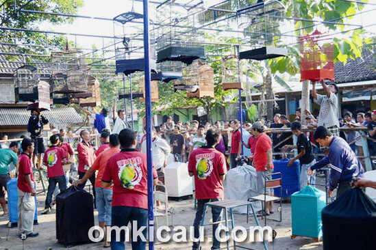 Kontes Posma Sembego Jogja
