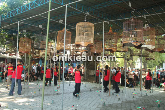 Kontes Triwulan Sragen