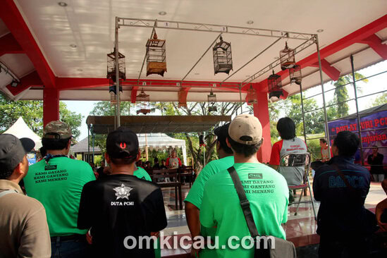 Lomba suara pleci model penyisihan