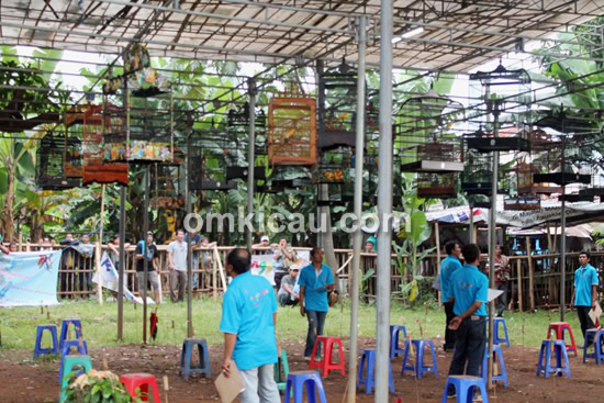 Liga Ronggolawe Jabodetabek Seri IX
