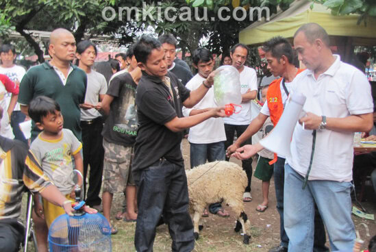 Lomba burung doorprize kambing