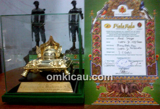 Lodra Jr juara Piala Raja