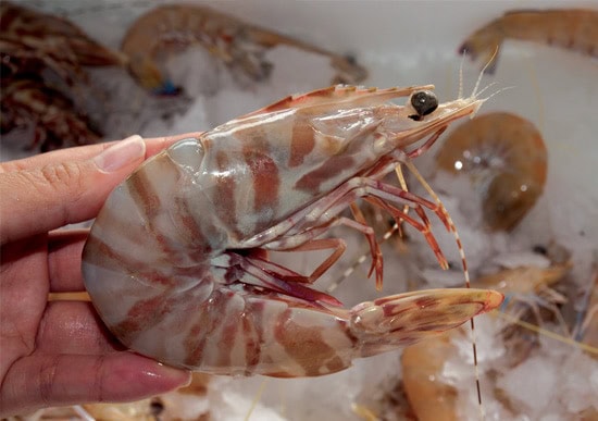 preping preping prawns