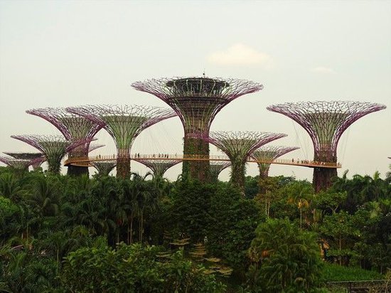 Qué ver en Singapur