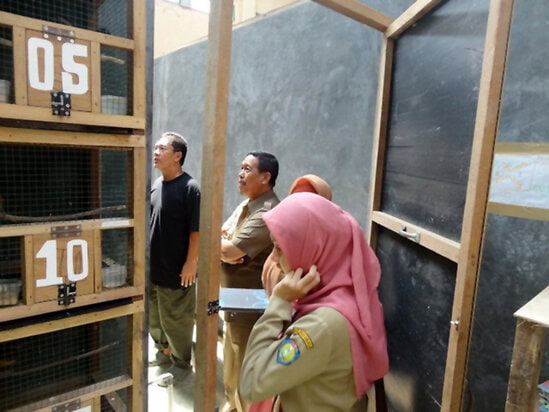 Pejabat Pemkab Indramayu meninjau kandang SKL Bird Farm.