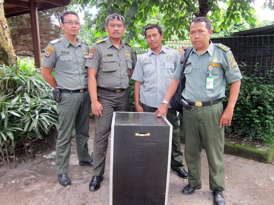 Kepala Resort BKSDA Jogja (kanan) menyerahkan elang bido kepada GLZoo yang diterima Kabid Perawatan Satwa, Miftah (dua dari kanan). (Foto: Dokumentasi GLZoo)