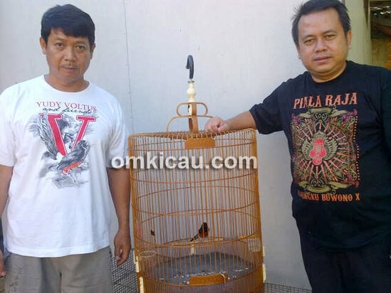 Aam Bintaro dan murai Gudang Peluru